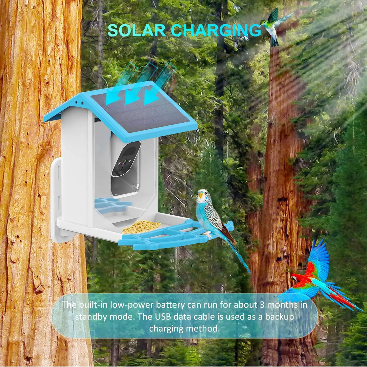 Solar Smart Bird Feeder Novva Living