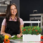 Intelligent Indoor Hydroponic Planting Machine