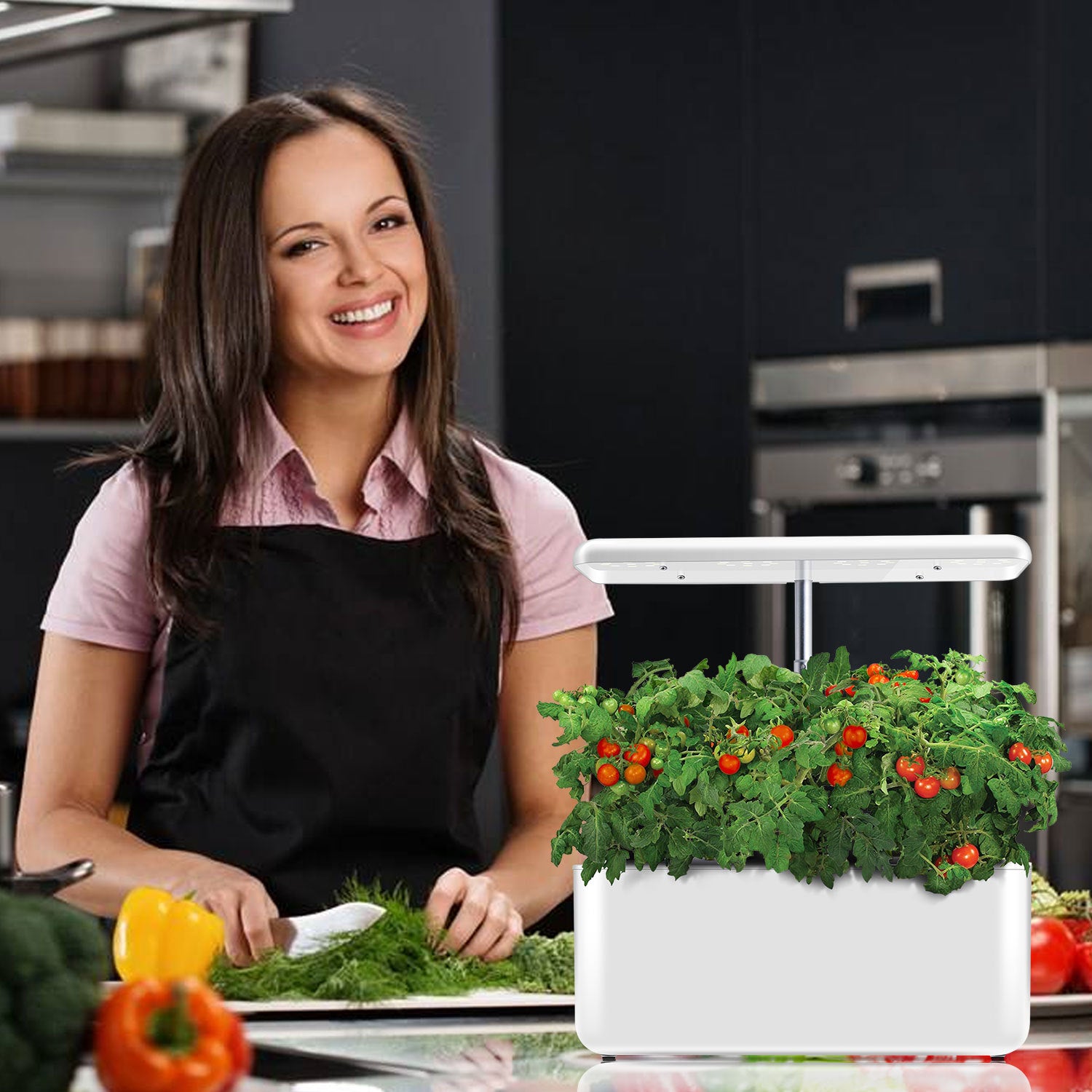 Intelligent Indoor Hydroponic Planting Machine