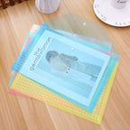 Pochette à soufflet transparente en PVC avec bouton-pression
