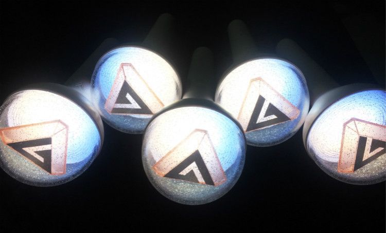 Carat Stick Official Light Stick