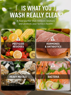 Fruit & Vegetable Purification Washing Machine