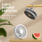 Portable Fan