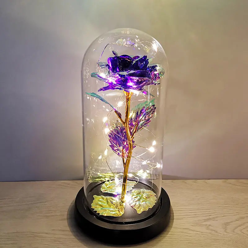 LED Glass Dome Rose Novva Living