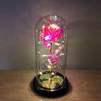 LED Glass Dome Rose Novva Living