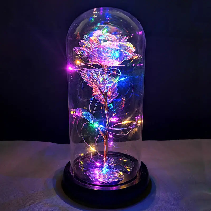 LED Glass Dome Rose Novva Living
