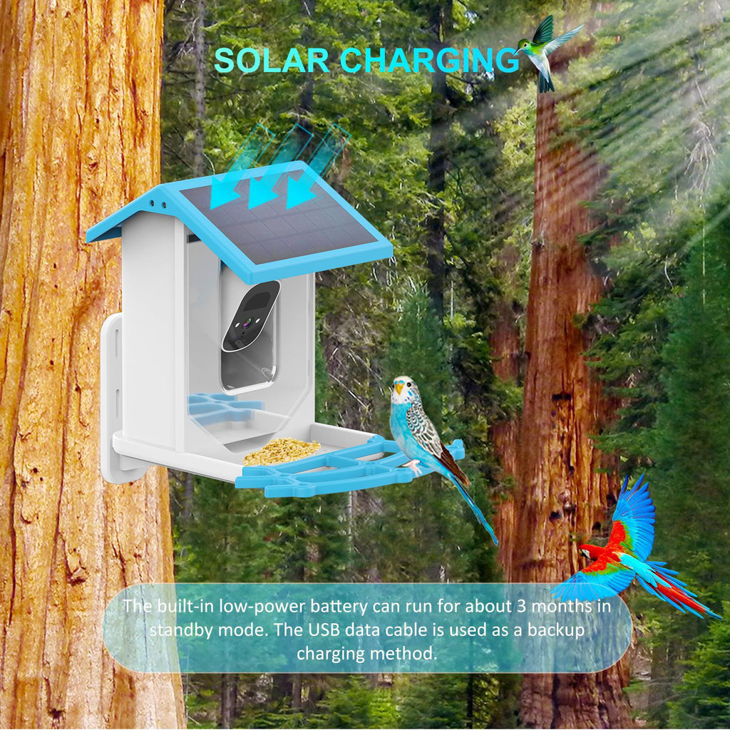 Solar Smart Bird Feeder