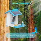 Solar Smart Bird Feeder