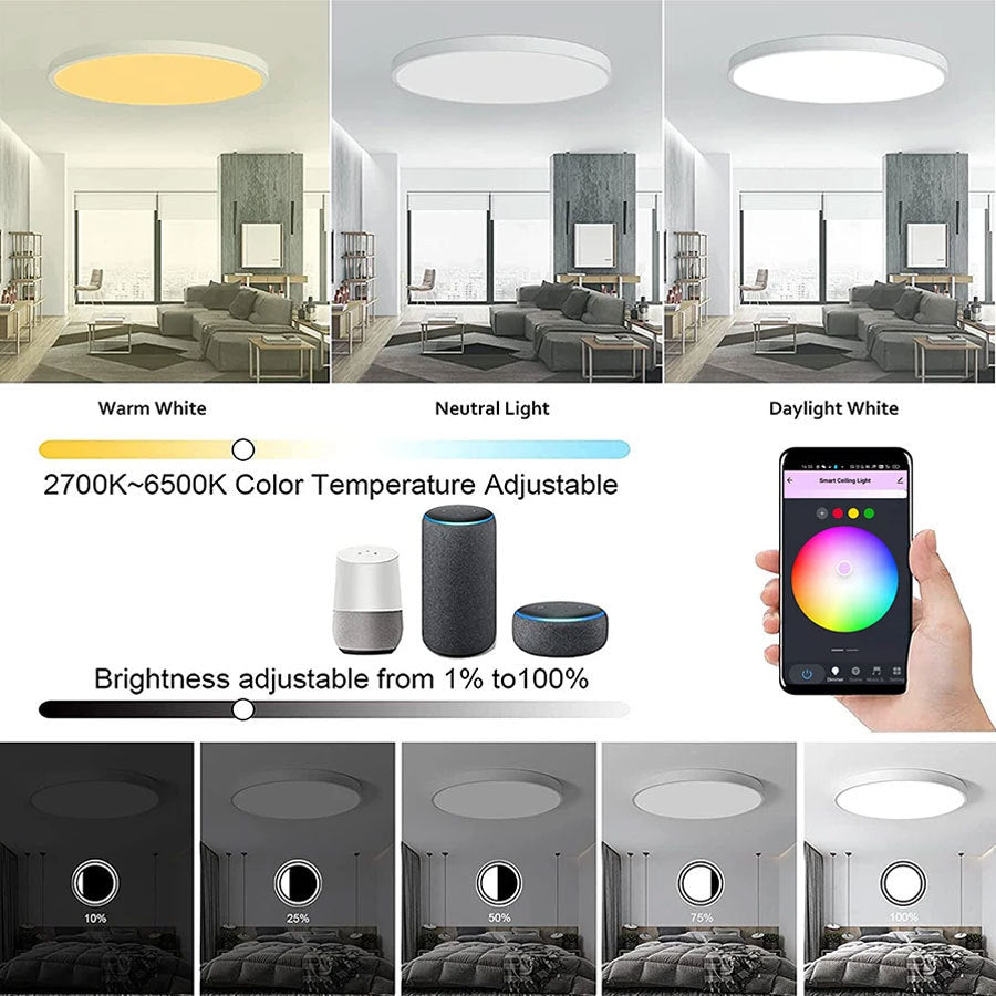 WiFi Smart Ceiling Lamp