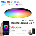 WiFi Smart Ceiling Lamp