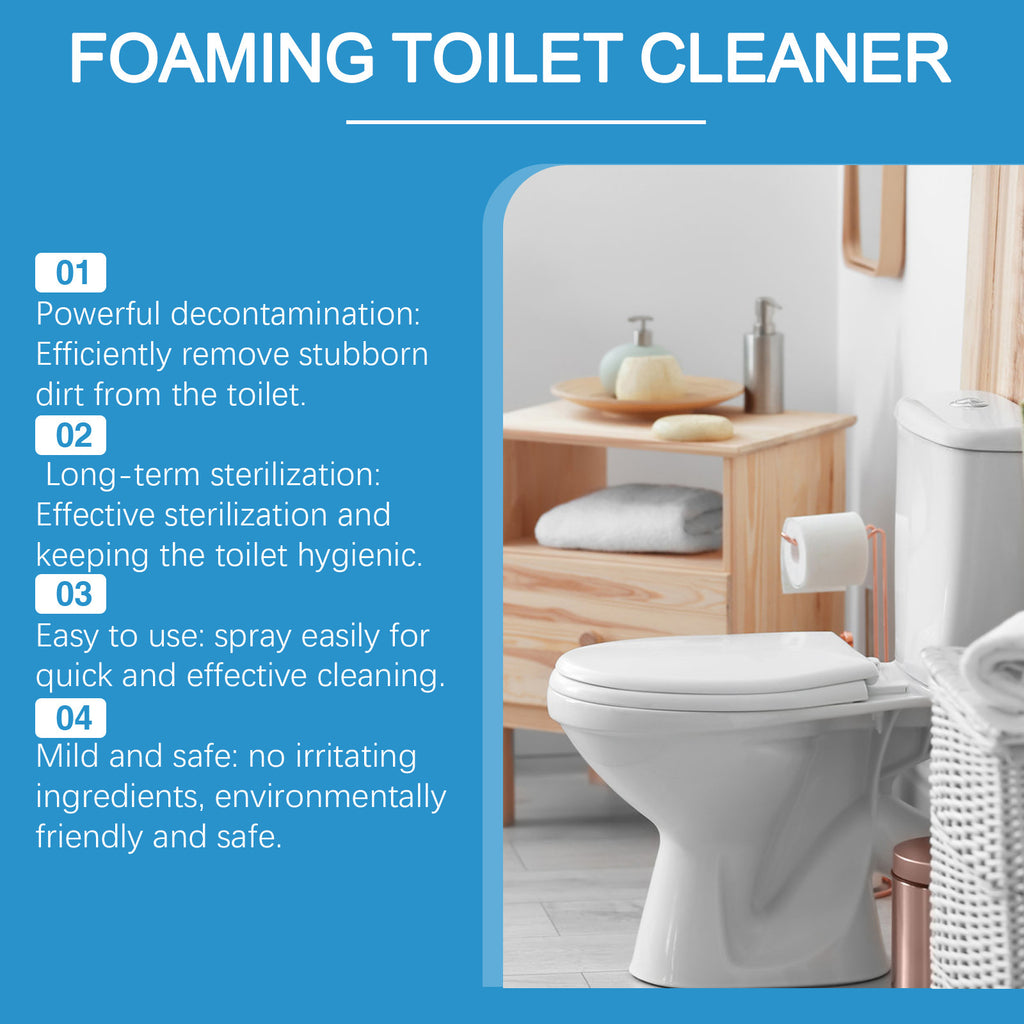 Toilet Cleaner Powder