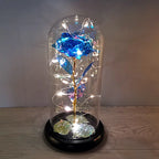 LED Glass Dome Rose Novva Living