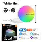 WiFi Smart Ceiling Lamp Novva Living