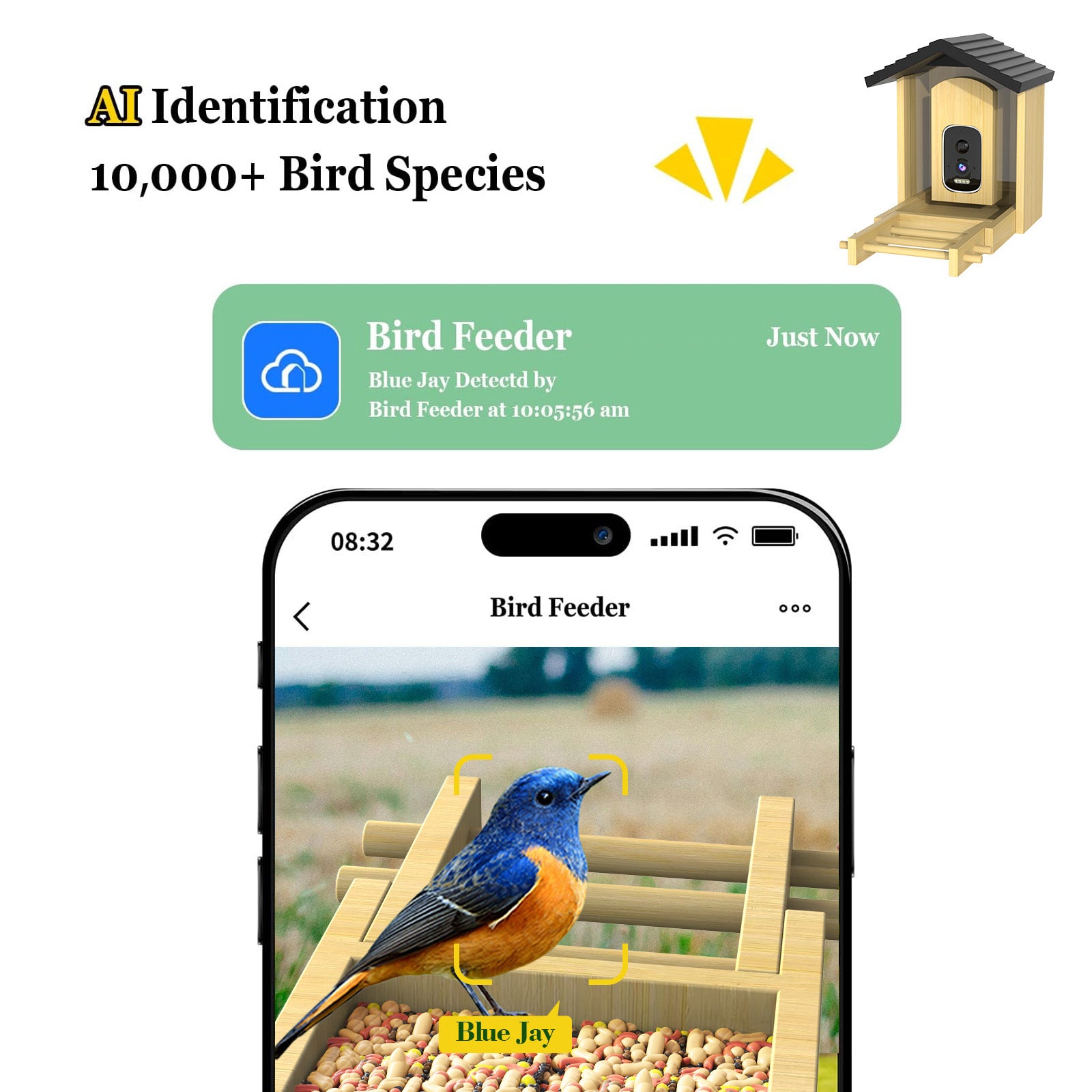 Bamboo Smart Bird Feeder