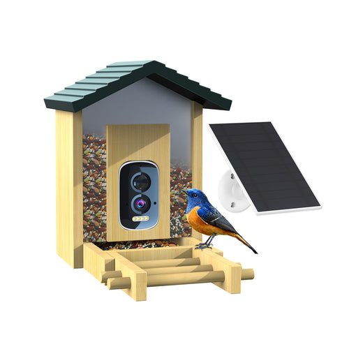 Bamboo Smart Bird Feeder