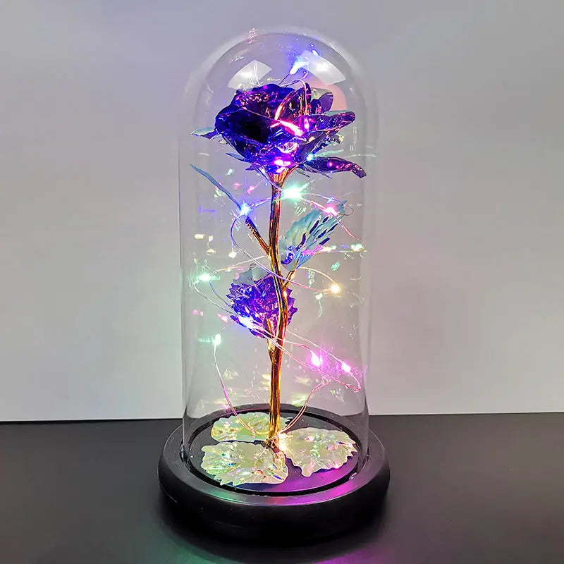 LED Glass Dome Rose Novva Living
