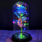 LED Glass Dome Rose Novva Living