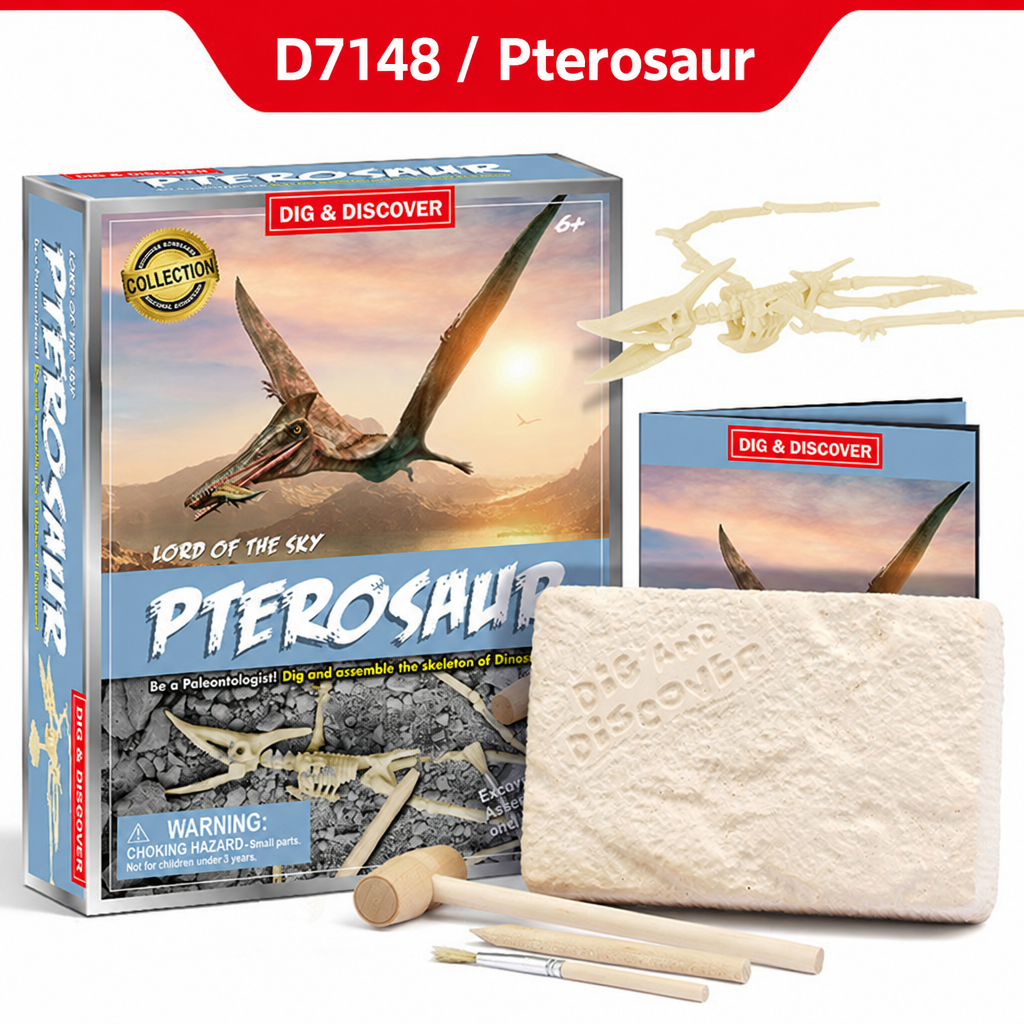 DIY Dinosaur & Animal Excavation Kit