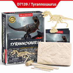 DIY Dinosaur & Animal Excavation Kit